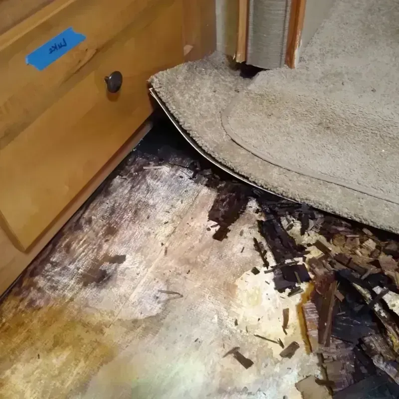 Wood Floor Water Damage in Columbiana, OH